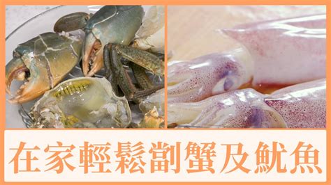 🦀【處理蟹及魷魚】🐙街市買返嚟點處理？在家輕鬆劏蟹及魷魚 新手必學 整薑蔥蟹、椒鹽鮮魷話咁易 簡易食譜 煮食101 夠鐘開飯