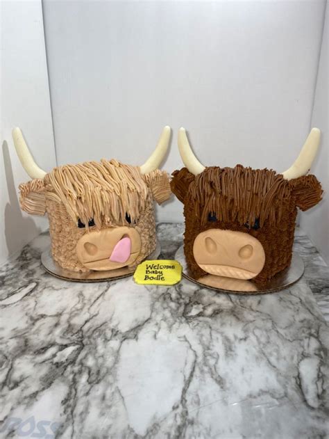 Highland Cow Cakes