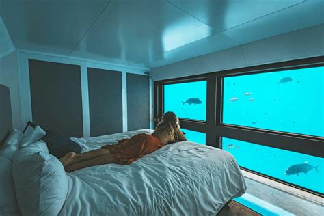 Reefsuites Underwater Hotel - Cruise Whitsundays