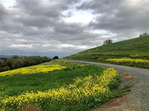 Walnut Creek's Beauty: Photos Of The Day | Walnut Creek, CA Patch