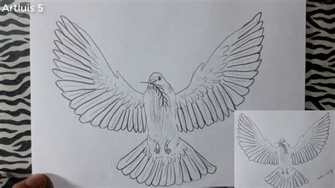 Como Dibujar La Paloma De La Paz Paso A Paso How To Draw A Dove