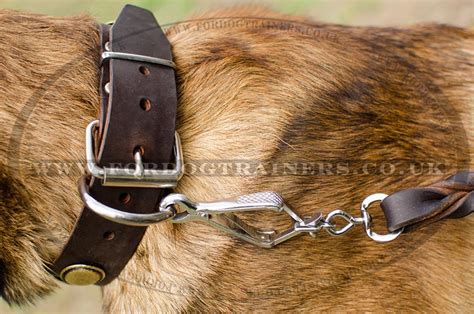 dog collars  belgian malinois belgian malinois collars