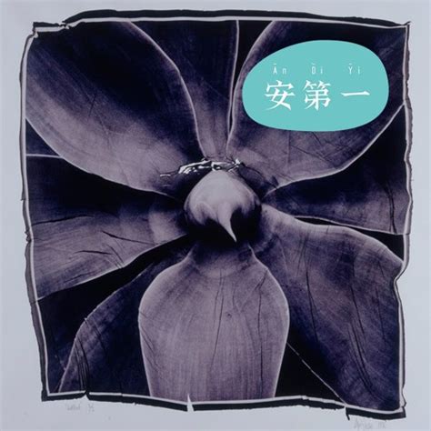 Stream Sex Jungle By An Di Yi Listen Online For Free On Soundcloud