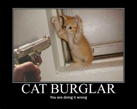 You Ve Been Posterized Scared Pussy Cat