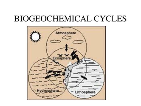 Ppt Biogeochemical Cycles Powerpoint Presentation Free Download Id