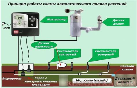 Как устроены и работают современные системы автоматического полива ...