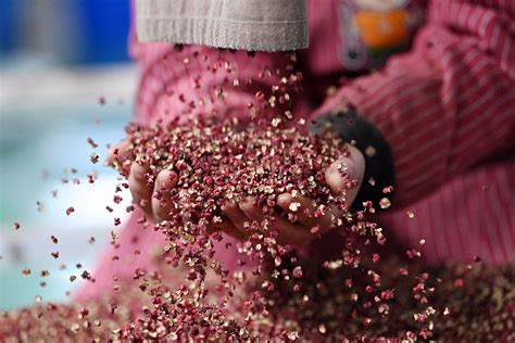 A Spicy Hot Pot Journey Through Gansu S Cultural Heartland CGTN