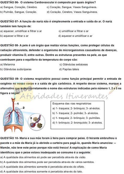 Blog Atividades Itinerantes Avalia O De Ci Ncias Para Ano