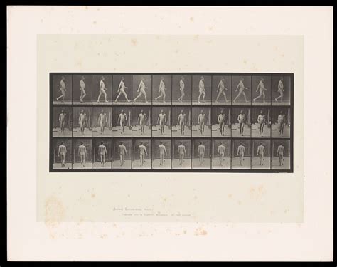 Naked Man Walking Collotype Eadweard Free Photo Rawpixel