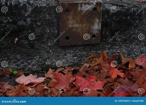 Rusted Metal On Sidewalk With Fall Foliage Leaves On The Ground Stock