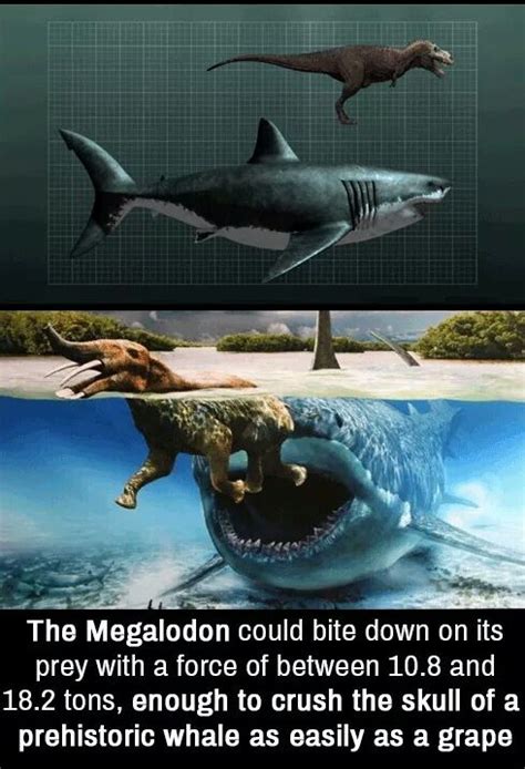 That S Terrifying As Fuck Meme By Blackzero368 Memedroid