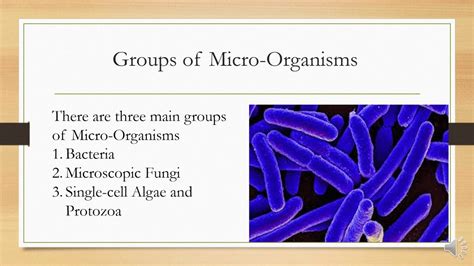 Grade-7 Science Lesson 15 Micro Organisms - YouTube