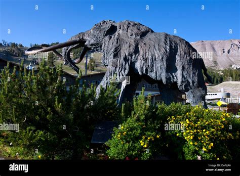 Statue Of A Wooly Mammoth Mammoth Mountain Ski Area Mammoth