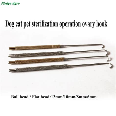 Крючок для стерилизации яичников из матки для домашних животных ...