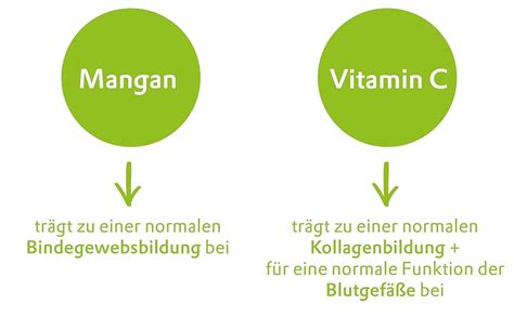 LifeWize Steinklee Komplex 500 Mg Steinklee 420 Mg Rutin