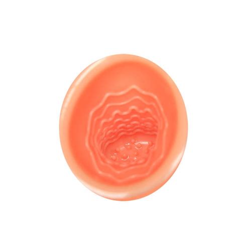 Masturbador Autom Tico Masculino Oral Sex Lover Vivelavita