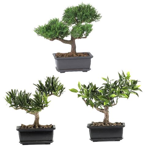 Nearly Natural 8.5" Bonsai Silk Plant Collection, Set of 3 - Artificial Plants - Silk Plants