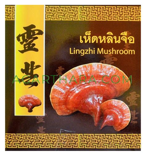 Kongka Herb Lingzhi Mushroom, 220 g - Agarthara Health Shop