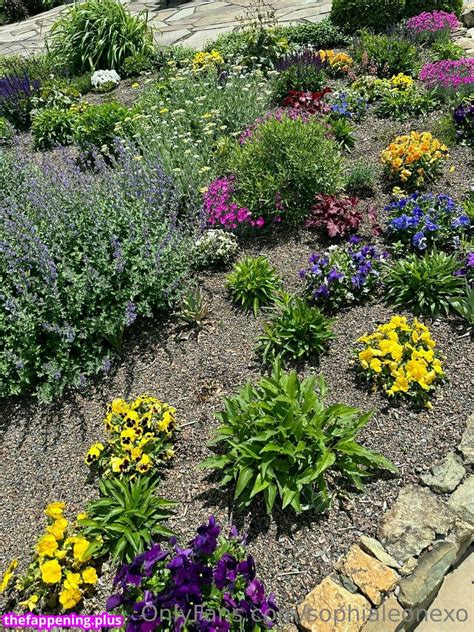 Sophia Leone Sophialeonex Sophialeonexo Xosophialeone Nude