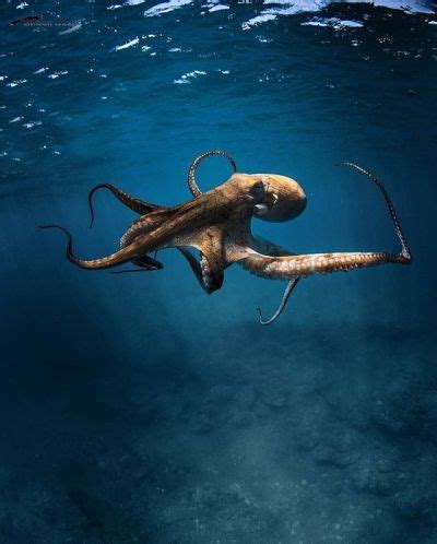 Juicy Pussy Eater Tumblr Tumbex