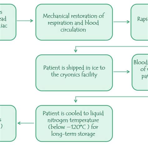 The Procedure In Cryonics Download Scientific Diagram