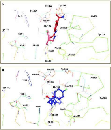 (A) 3D interactions of compound ZINC77699643 with different amino ...