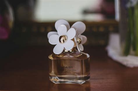 Perfume · Free Stock Photo