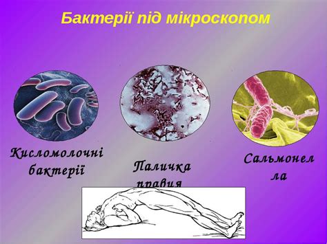 Характеристика презентація з біології