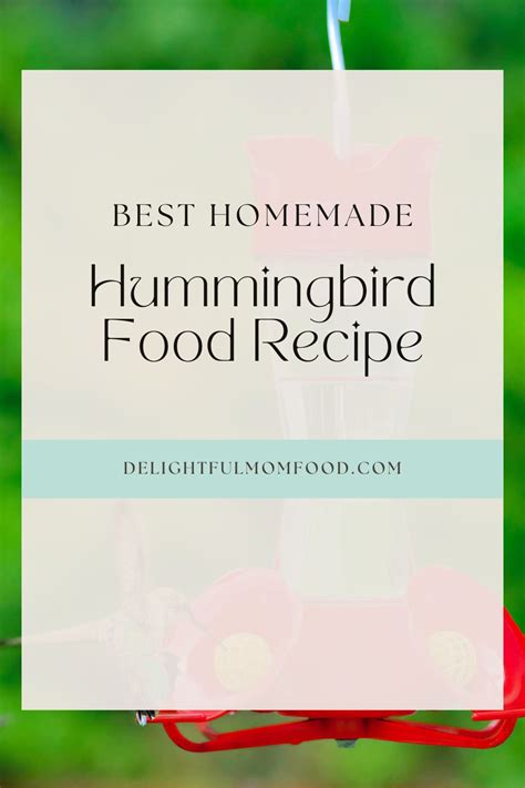 Homemade Hummingbird Food Recipe Delightful Mom Food