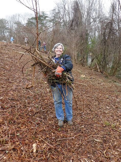 Jacksonviaafterelise4x6 Charlottesville Area Tree Stewards