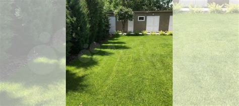 Рулонный газон купить в Волгограде | Товары для дома и дачи | Авито