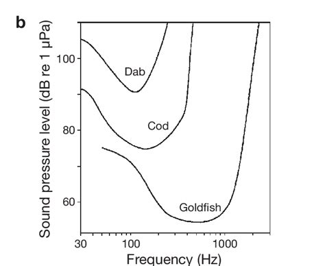 Hearing Abilities Of Selected Fish Species At A Infrasonic And B