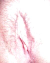 Kari Goiania ZB Porn