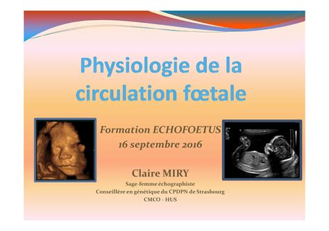 physiologie circulation foetale formation echofoetus  septembre