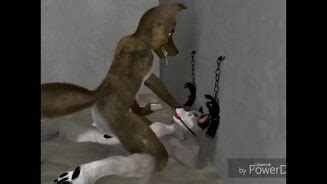 Gay Furry Animation Porno Tarado