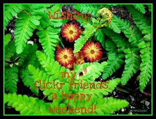 Have A Happy Weekend! | Be kind to each other! | Flickr