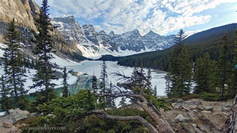 Moraine Lake The Lake With The Twenty Dollar View