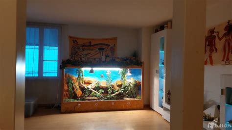 Terrarium mit Rückwand und Wasserfall Canton Berne tutti ch