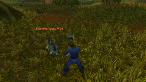 Гайд по прокачке в WoW Classic Hardcore C по уровень