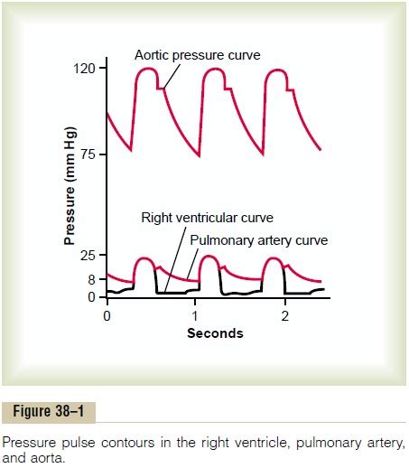 Pressures In The Pulmonary System