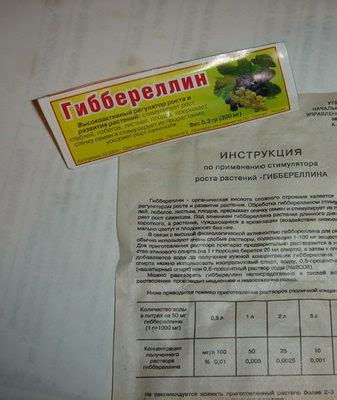 Гиббереллин: ТОП советы по применению препарата, состав, функции