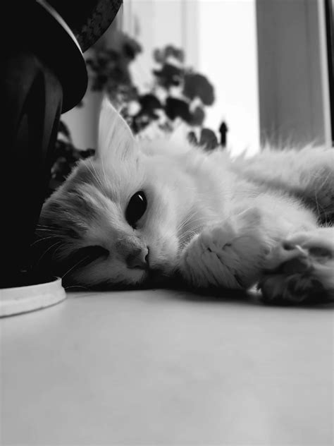 Умка | Пикабу