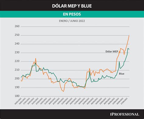 DÓLAR BLUE: qué datos mira la City para pronosticar su precio