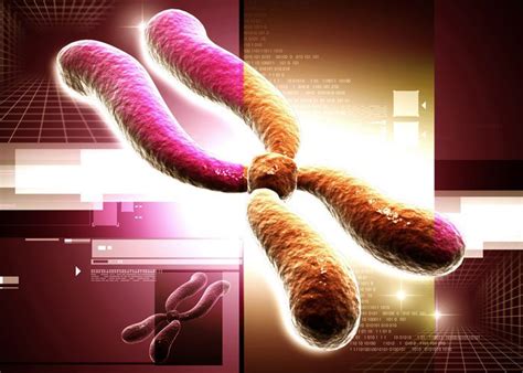 Rett Syndrome Chromosome