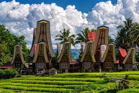 sulawesi dn  explore culture nature indonesia inntravel
