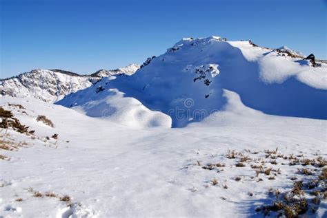 Snow scene. stock photo. Image of grass, attractive, beautiful - 13449052