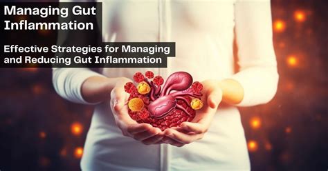 Managing Gut Inflammation: Effective Strategies for a Healthy Gut ...