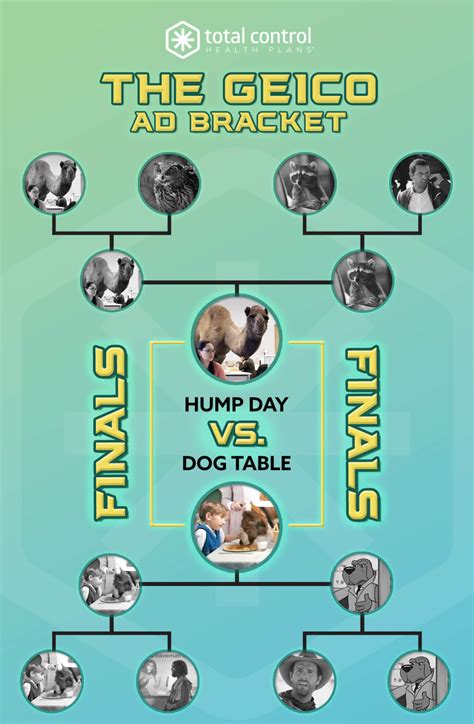 GEICO Ad Bracket - Total Control Health Plans