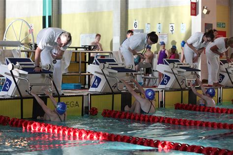 Otters And Dolphins Hemel Hempstead Swimming Club