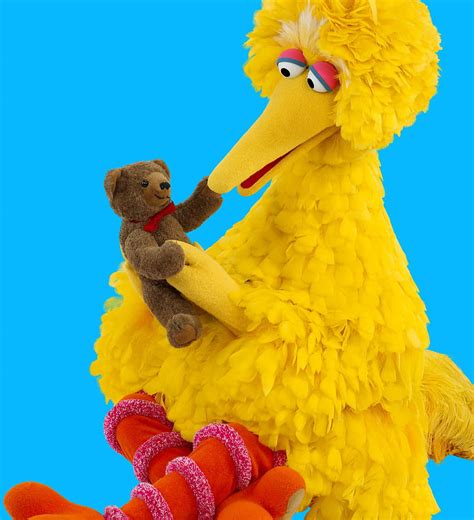Sesame street big bird HD phone wallpaper | Pxfuel